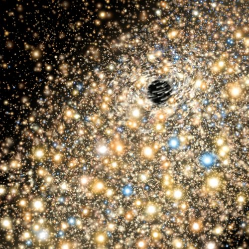 Sterne umkreisen Schwarzes Loch